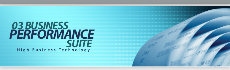 Business Intelligence