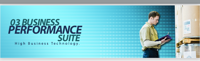 Business Intelligence