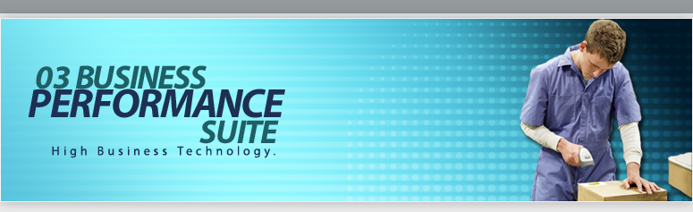 Business Intelligence
